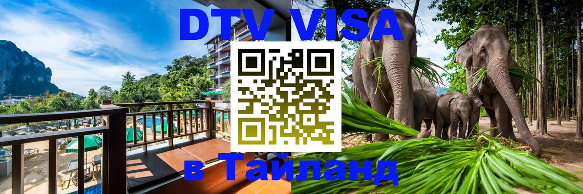 Оформление DTV визы под ключ: стоимость и тарифы, только загранпаспорт - Ватикан  09.01.2026 